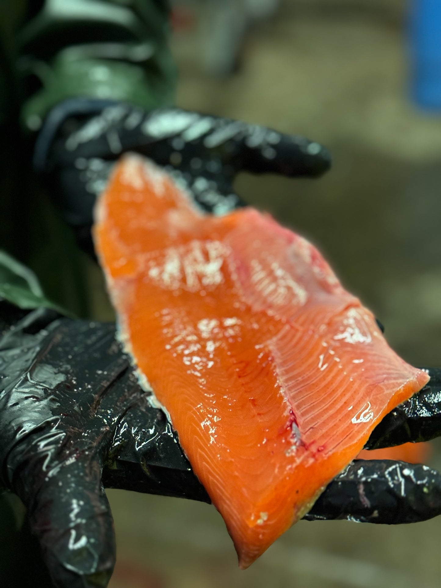 Premium Pet Treats - 100% G̱ayniis (chum) Wild Salmon
