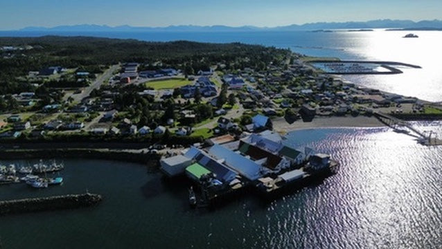 Ksa Hoon Pet Treats - 100% Wild Salmon, Freeze Dried