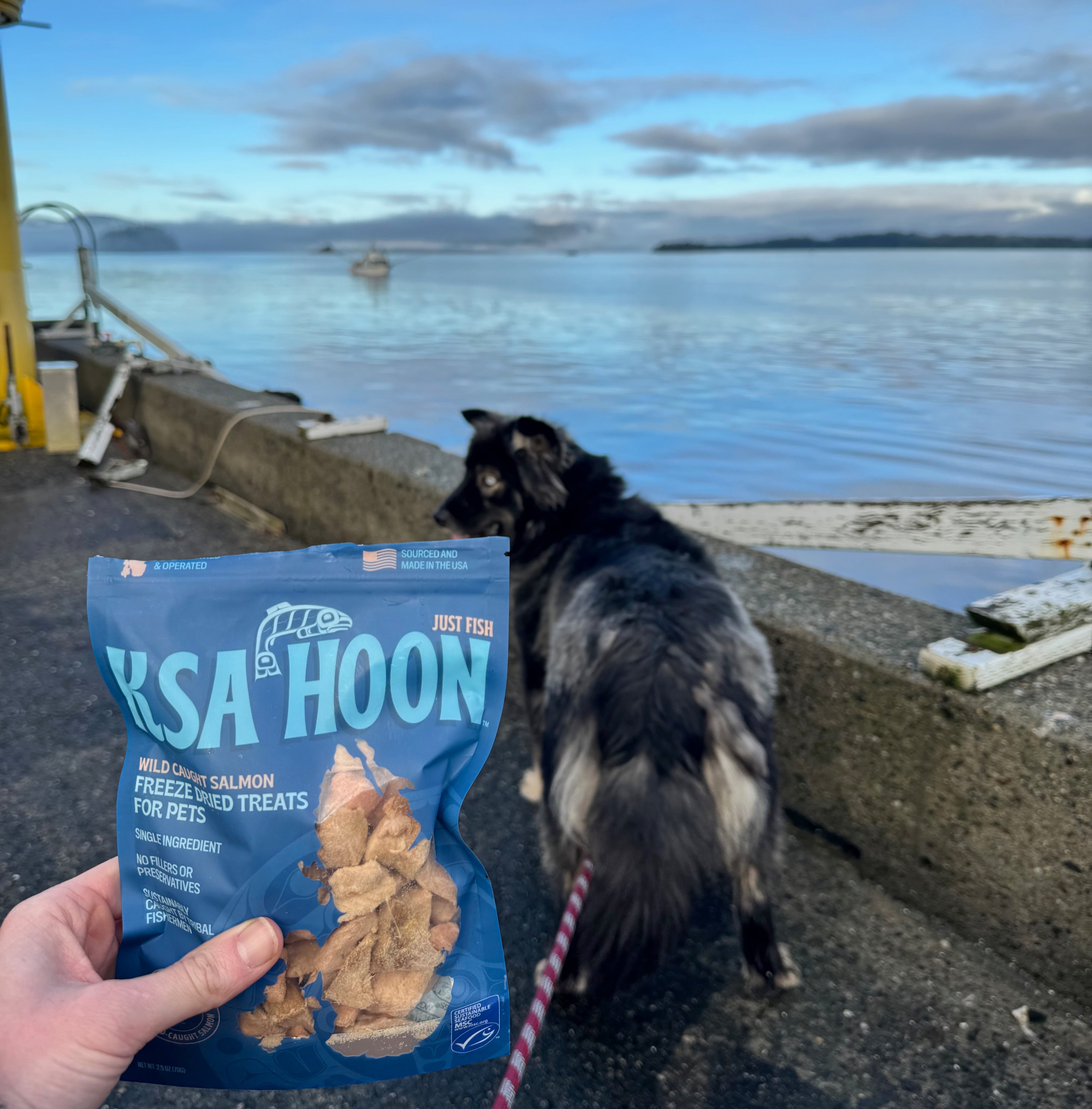 Ksa Hoon Pet Treats - 100% Wild-Caught Salmon, Freeze Dried