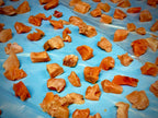 Ksa Hoon Pet Treats - 100% Wild Salmon, Freeze Dried